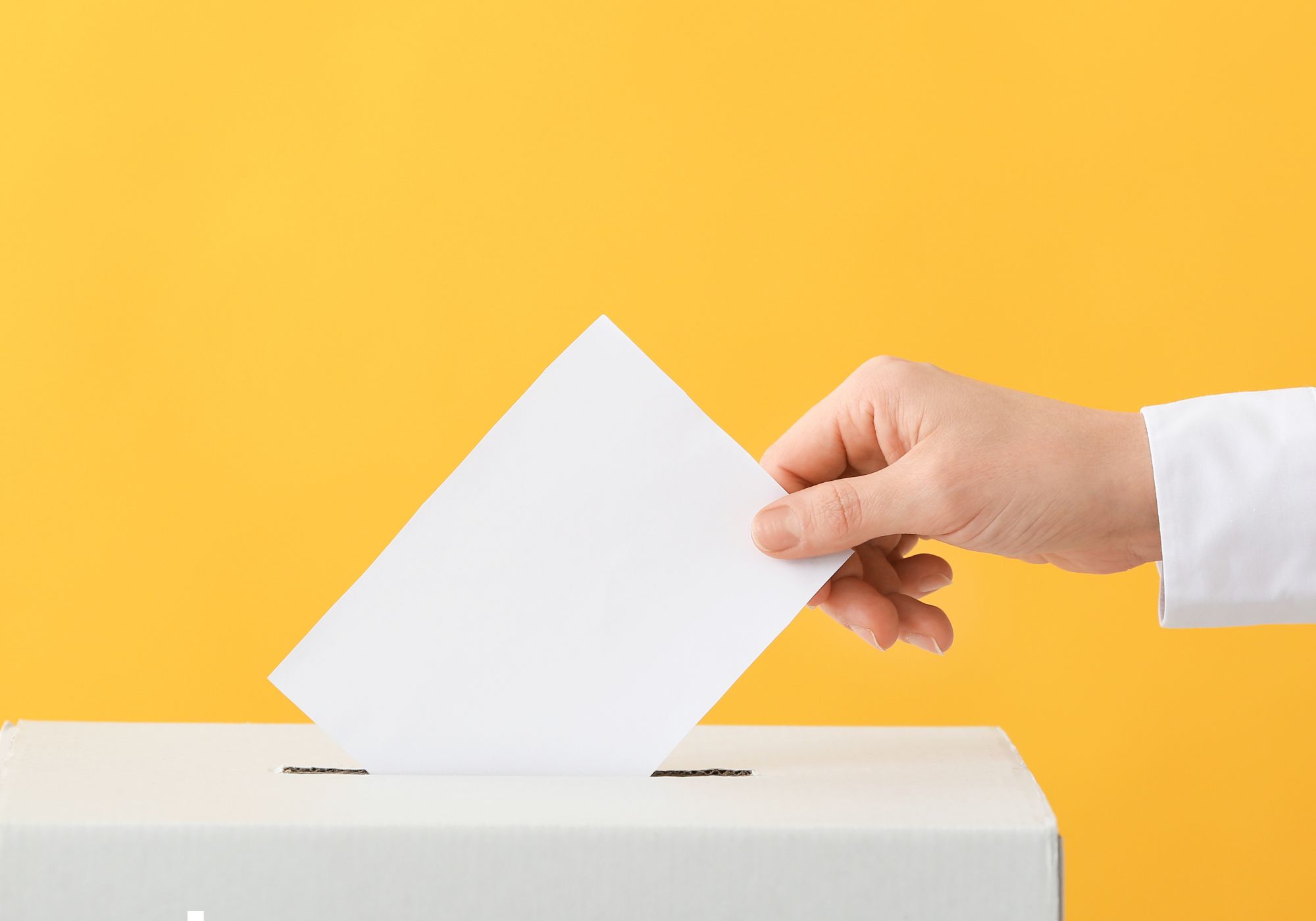 Voting